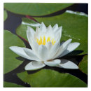 Suche nach weiße lilie fliesen Für sie