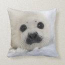 Suche nach harfen kissen Siegel