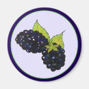 Suche nach ihr blackberry magnete Beere