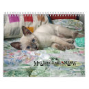 Suche nach meow kalender Kätzchen