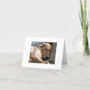 Suche nach ridgebacks karten Rhodesisch