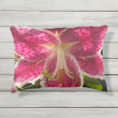 Suche nach rosa lilien kissen Botanisch