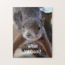 Suche nach nagetier puzzle Foto