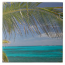Suche nach cay fliesen Bahamas