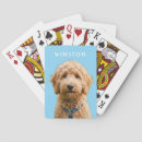 Suche nach hund spielkarten Jede person