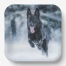 Suche nach german teller Wolf