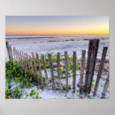 Suche nach zaun poster Fotografie