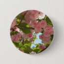 Suche nach kirschbaum buttons Natur