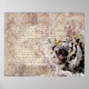 Suche nach tiger foto poster Katze