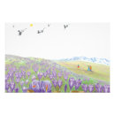 Suche nach krokus poster Blüte