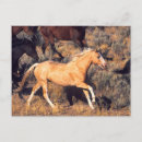 Suche nach galopper postkarten Wild