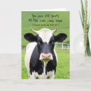 Suche nach stier geburtstag karten Kuh