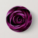 Suche nach lila rose buttons Für alle