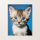 Suche nach blaue augen puzzle Kätzchen