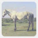 Suche nach graues pferd aufkleber Reiter