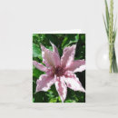 Suche nach clematis karten Rosa