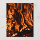 Suche nach feuer flyer Natur