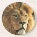 Suche nach löwe untersetzer Tier