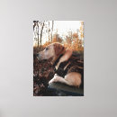 Suche nach labrador retriever leinwandbilder Jagd