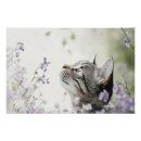 Suche nach künstlerische katze poster Modern