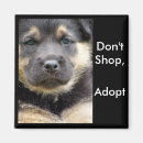 Suche nach kaufen magnete Hunde