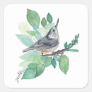 Suche nach nackt aufkleber Vogelvogel