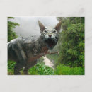 Suche nach beängstigende katze poster postkarten Horror