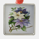Suche nach weinreben ornamente Lila