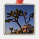 Suche nach kappen ornamente Usa