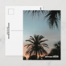 Suche nach florida palmen postkarten Sonnenuntergang