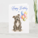 Suche nach staffordshire karten Staffordshire bull terrier