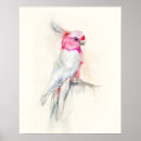Suche nach cockatoo poster Vogelkunst