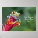 Suche nach niedliche frösche poster Natur