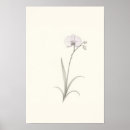 Suche nach skizzen poster Blume