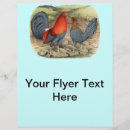 Suche nach huhn flyer Hahn
