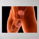 Suche nach komplexität poster Nah up