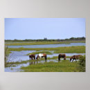 Suche nach wilde pferde poster Ponys
