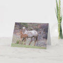 Suche nach filly karten Stute