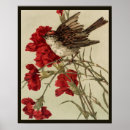 Suche nach songbird poster Blume