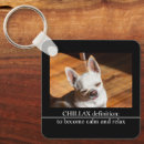 Suche nach lustige chihuahua accessoires Niedlich