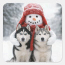 Suche nach sibirischer husky aufkleber Süß