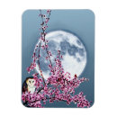 Suche nach pflaumenbaum Blume