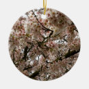 Suche nach kirschbaum ornamente Kirsche