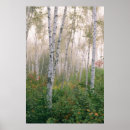 Suche nach mari poster Herbst