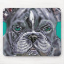 Suche nach pitbull hund mousepads Pillbulle