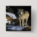 Suche nach wolfs buttons Usa