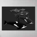 Suche nach orca poster Whale