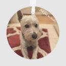 Suche nach westie ornamente Hund