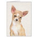 Suche nach chihuahua kleine grußkarten Welpe