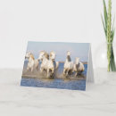 Suche nach camargue karten Grenze danita